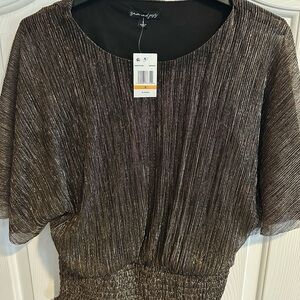 Sam and Jess NWT Shimmering Metallic Top